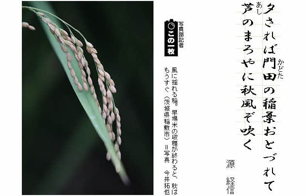 秋風の風 短歌一口講座 秋風 Nikkei Style 秋風の風 短歌一口講座 秋風 Nikkei Style