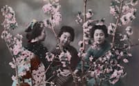 1918年前後の日本。桜の花越しにポーズを取る女性たち。撮影したエライザ・シドモアは、ワシントンDCに桜を植えることを最初に提案した人物。（PHOTOGRAPH BY ELIZA R. SCIDMORE, NATIONAL GEOGRAPHIC）