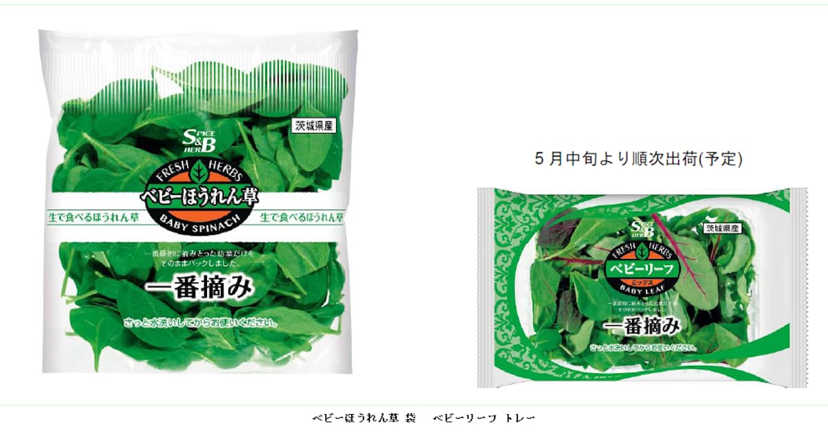 エスビー食品 さっと洗うだけですぐに食べられる ベビーほうれん草 袋 ベビーリーフ トレー を発売 日本経済新聞 エスビー食品 さっと洗うだけですぐに食べられる ベビーほうれん草 袋 ベビーリーフ トレー を発売 日本経済新聞