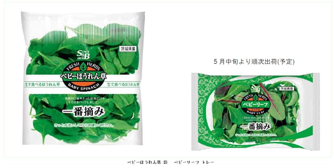 エスビー食品 さっと洗うだけですぐに食べられる ベビーほうれん草 袋 ベビーリーフ トレー を発売 日本経済新聞