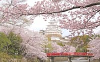 保存修理工事を経て、自然な美しさを取り戻した国宝「姫路城」。93年に世界文化遺産に登録。大天守に満開の桜が映える（画像提供:姫路市）