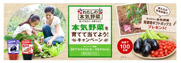 サントリーフラワーズ 野菜苗 サントリー 本気野菜 を発売 日本経済新聞 サントリーフラワーズ 野菜苗 サントリー 本気野菜 を発売 日本経済新聞