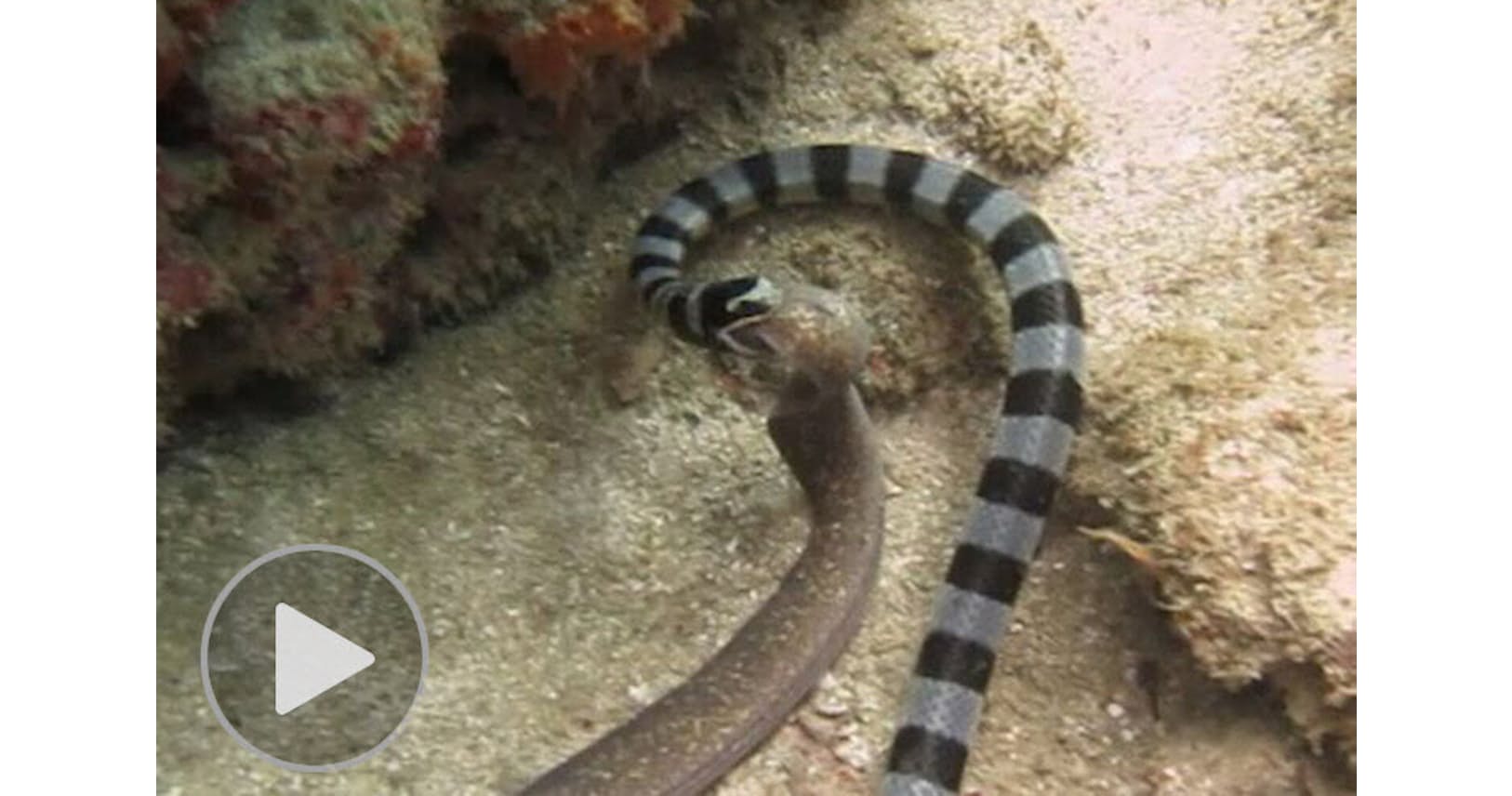 U Ji762a5gwtmm U Ji762a5gwtmm