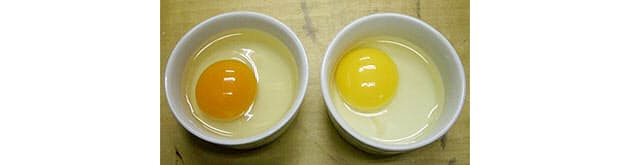 おいしいチャーハン カギは卵 パラパラの秘密とは Nikkei Style おいしいチャーハン カギは卵 パラパラの秘密とは Nikkei Style