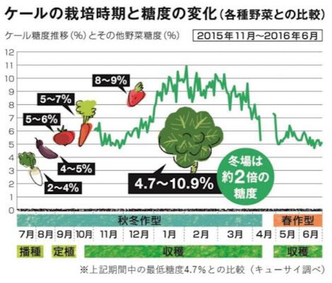 キューサイ 国産ケール100 の Kale De Kale を季節 数量限定発売 日本経済新聞 キューサイ 国産ケール100 の Kale De Kale を季節 数量限定発売 日本経済新聞