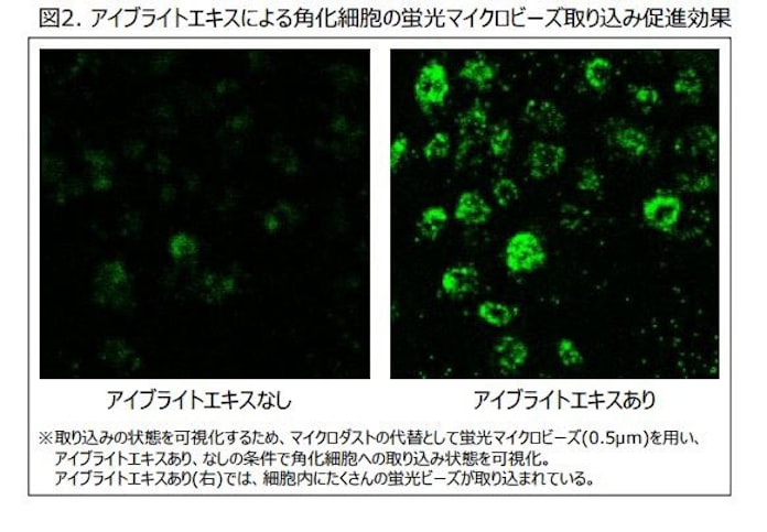 ポーラ化成 肌に接触 浸透した大気汚染物質を排出するエキスを発見 日本経済新聞 ポーラ化成 肌に接触 浸透した大気汚染物質を排出するエキスを発見 日本経済新聞