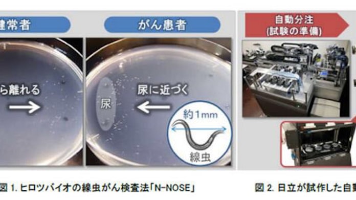 日立 Hirotsuバイオサイエンスと線虫によるがん検査の実用化に向けた共同研究に合意 日本経済新聞 日立 Hirotsuバイオサイエンスと線虫によるがん検査の実用化に向けた共同研究に合意 日本経済新聞