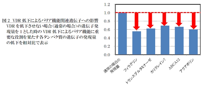 ファンケル グレープフルーツ果実エキスに皮膚のバリア機能改善作用を発見 日本経済新聞