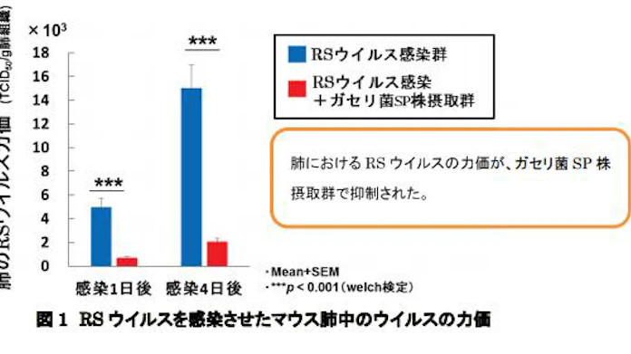 雪印メグミルク ガセリ菌sp株のrsウイルス感染防御効果を 日本農芸化学会17年度大会 で発表 日本経済新聞 雪印メグミルク ガセリ菌sp株のrsウイルス感染防御効果を 日本農芸化学会17年度大会 で発表 日本経済新聞