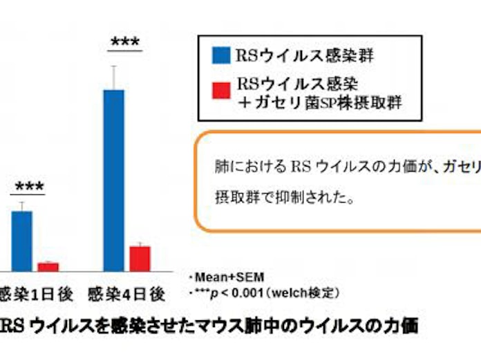 雪印メグミルク ガセリ菌sp株のrsウイルス感染防御効果を 日本農芸化学会17年度大会 で発表 日本経済新聞 雪印メグミルク ガセリ菌sp株のrsウイルス感染防御効果を 日本農芸化学会17年度大会 で発表 日本経済新聞