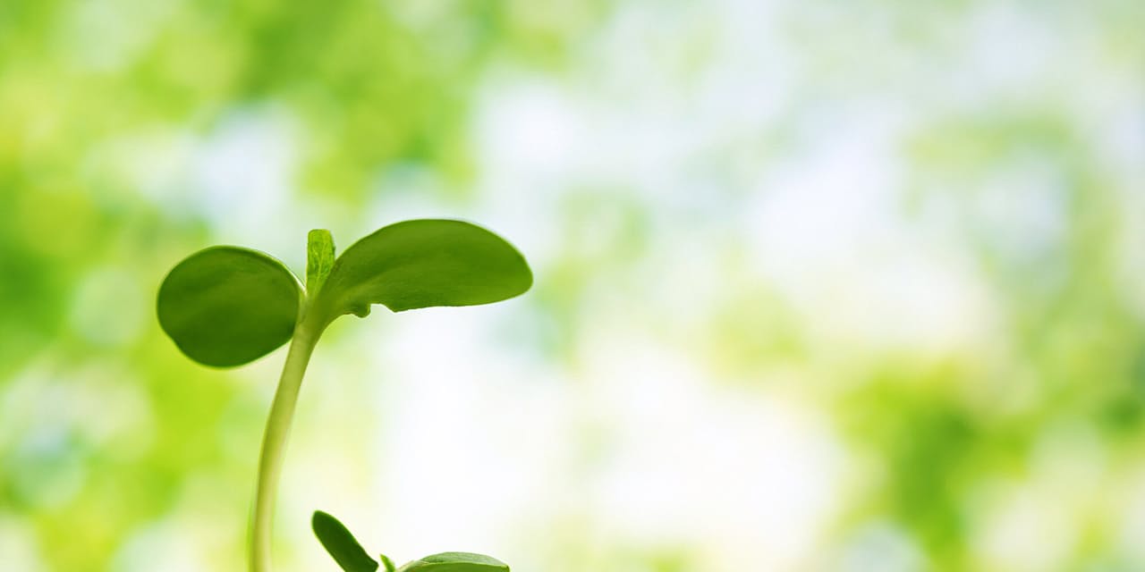 芸人は天職か 気にしすぎ芸人 ピース又吉 Nikkei Style 芸人は天職か 気にしすぎ芸人 ピース又吉 Nikkei Style