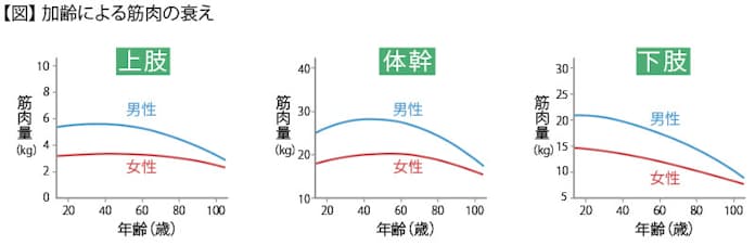 20歳を過ぎてから、最初に衰え始める筋肉はどこ? - 日本経済新聞