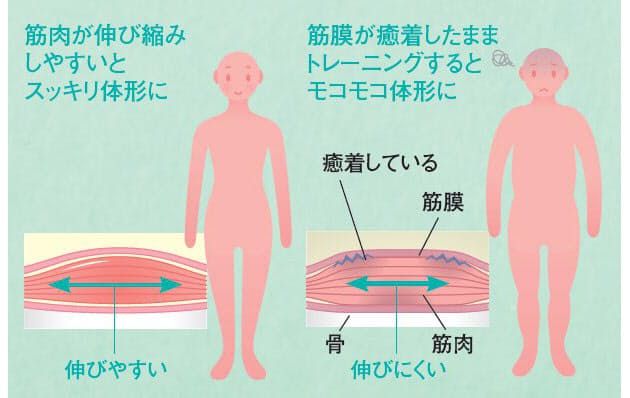 オフィスでできる筋膜ほぐし ガチガチ体がすっきり Nikkei Style