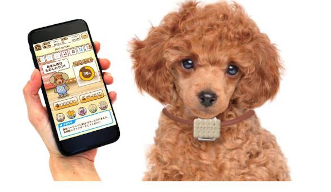 タカラトミー 犬専用ウェアラブルデバイス いぬのきもち お散歩time を発売 日本経済新聞