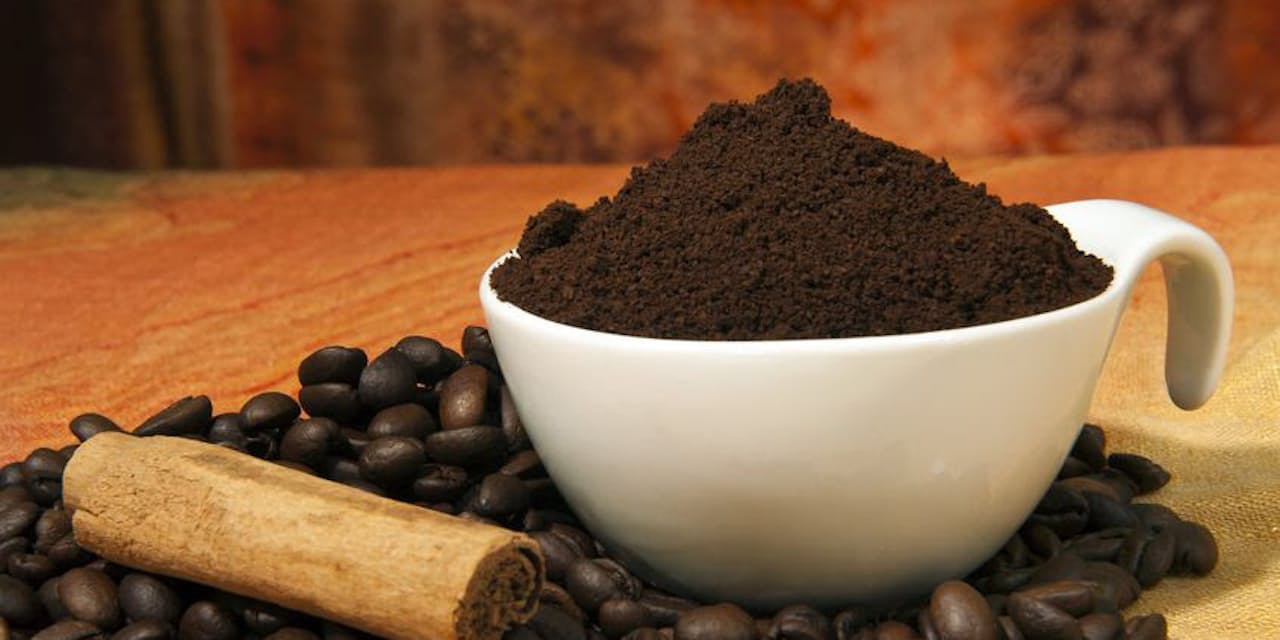 知っていますか 自分のカフェインの 安全量 Nikkei Style