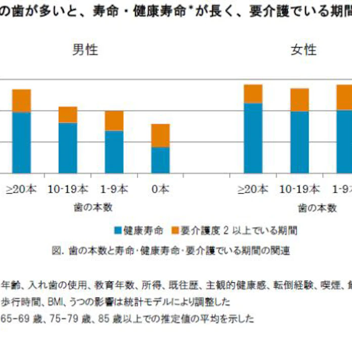 東北大 高齢期に保持できている歯の本数が多い人は健康で長生きであることを発表 日本経済新聞