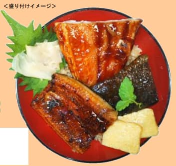 イオンリテール パンガシウス 近大発なまず 国産うなぎを食べ比べできる 土用の丑 メニューを展開 日本経済新聞