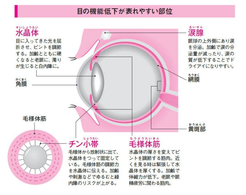 強くこすると目が 脱臼 目によくない習慣4つ Nikkei Style 強くこすると目が 脱臼 目によくない習慣4つ Nikkei Style