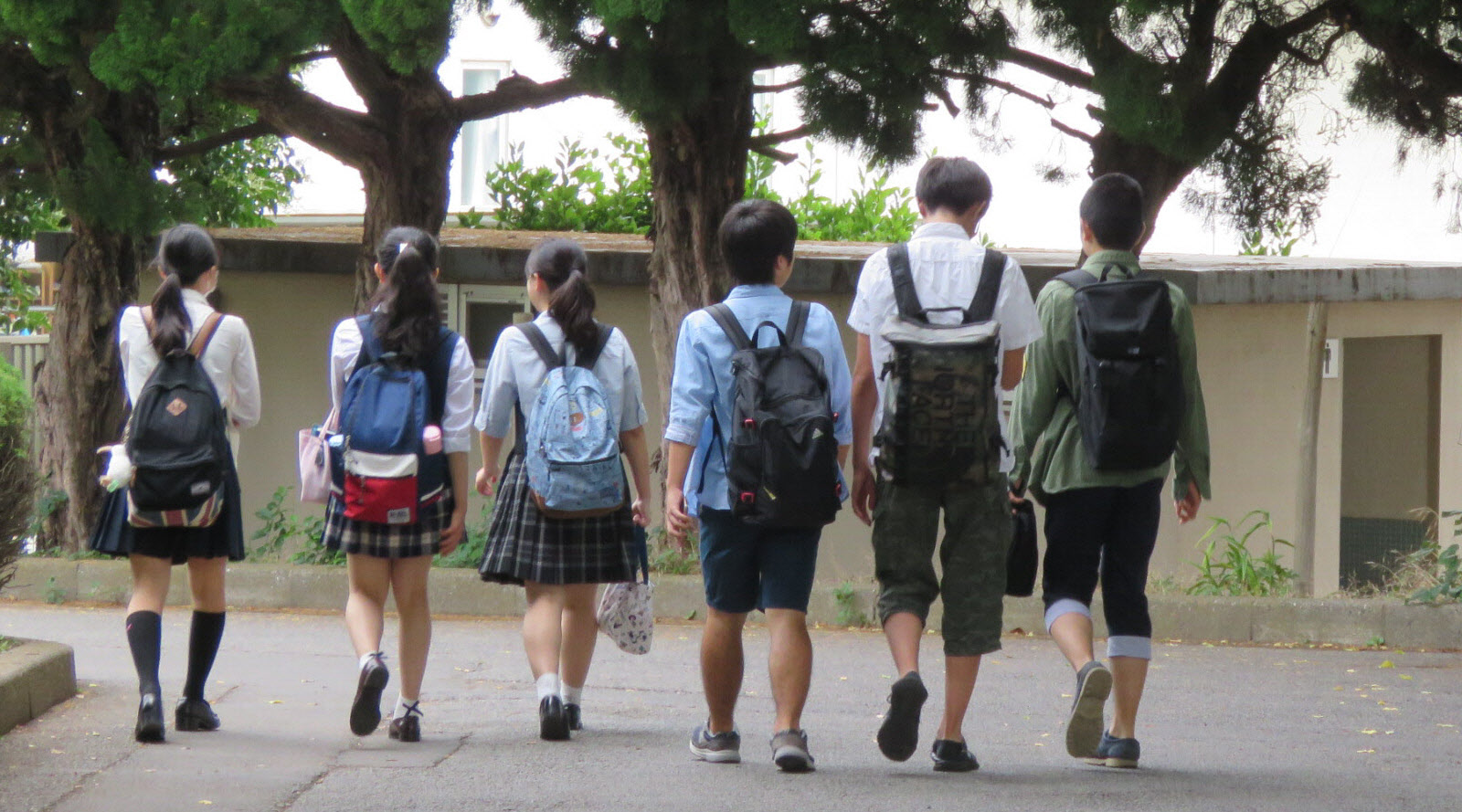 活動歴および当時の関連ビジュアル記録