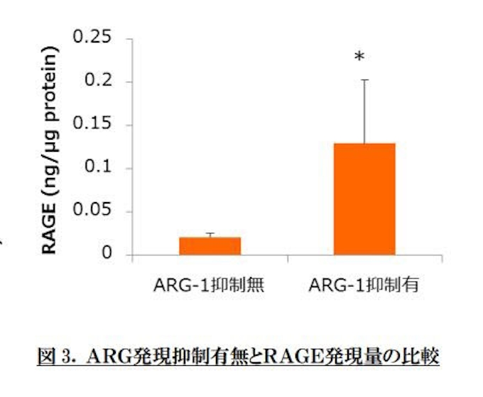 ファンケル タンパク Arg 1 が糖化による肌の老化兆候を抑制することを発見 日本経済新聞
