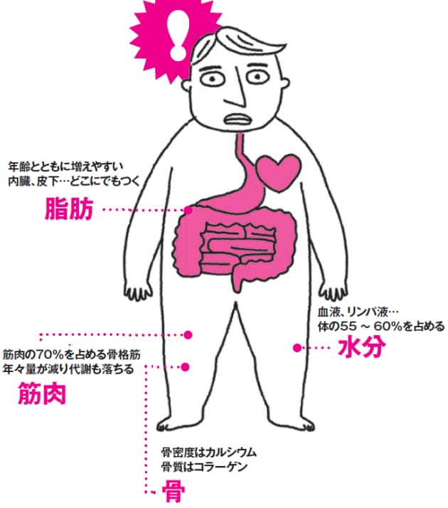 なぜ自分ばかりが太るのか あなたがやせない 理由 教えます 上 Nikkei Style なぜ自分ばかりが太るのか あなたがやせない 理由 教えます 上 Nikkei Style