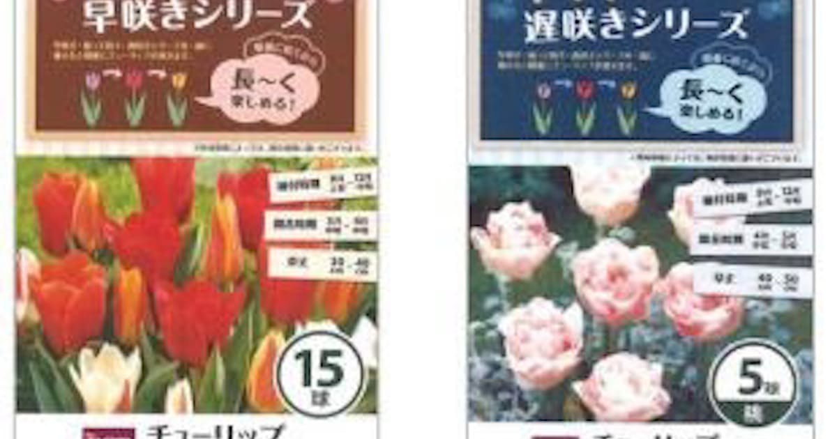 Dcmホールディングス 開花を長く楽しめる球根シリーズ Dcmブランド 早咲きチューリップ 遅咲きチューリップ を発売 日本経済新聞 Dcmホールディングス 開花を長く楽しめる球根シリーズ Dcmブランド 早咲きチューリップ 遅咲きチューリップ を発売 日本経済新聞