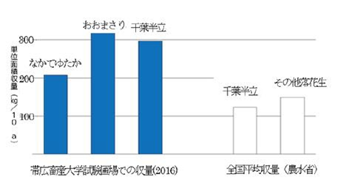Nttデータ経営研究所と帯広畜産大など 北海道十勝で落花生を軸とした地域振興事業を展開へ 日本経済新聞