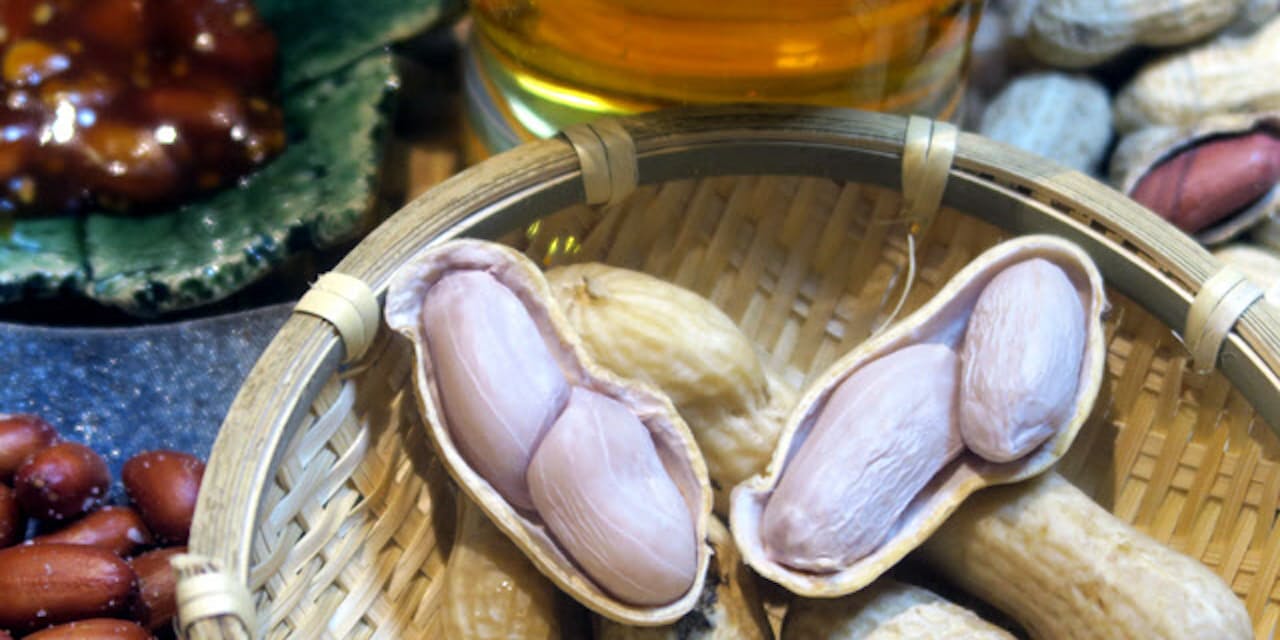 とれたて落花生を塩ゆでに 旬の味 ビールにぴったり Nikkei Style とれたて落花生を塩ゆでに 旬の味 ビールにぴったり Nikkei Style