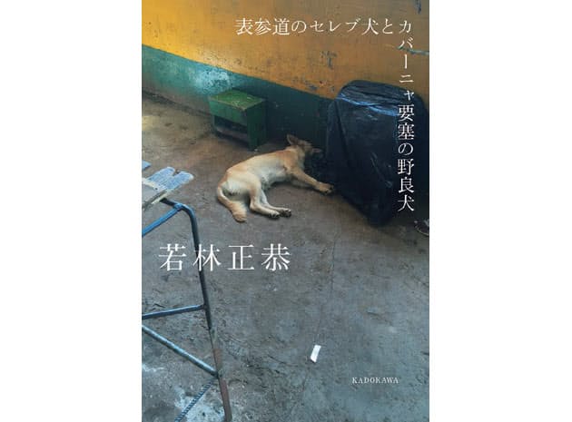 書くべきか否か悩んだこと オードリー若林 キューバ一人旅で 自分をリセット Nikkei Style 書くべきか否か悩んだこと オードリー若林 キューバ一人旅で 自分をリセット Nikkei Style
