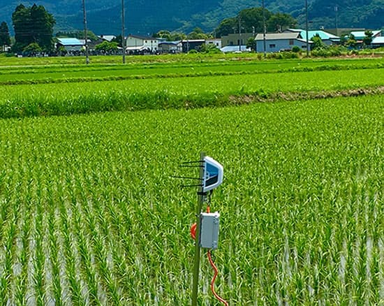 Isid 農業itベンチャーのベジタリアに5億円出資 日本経済新聞