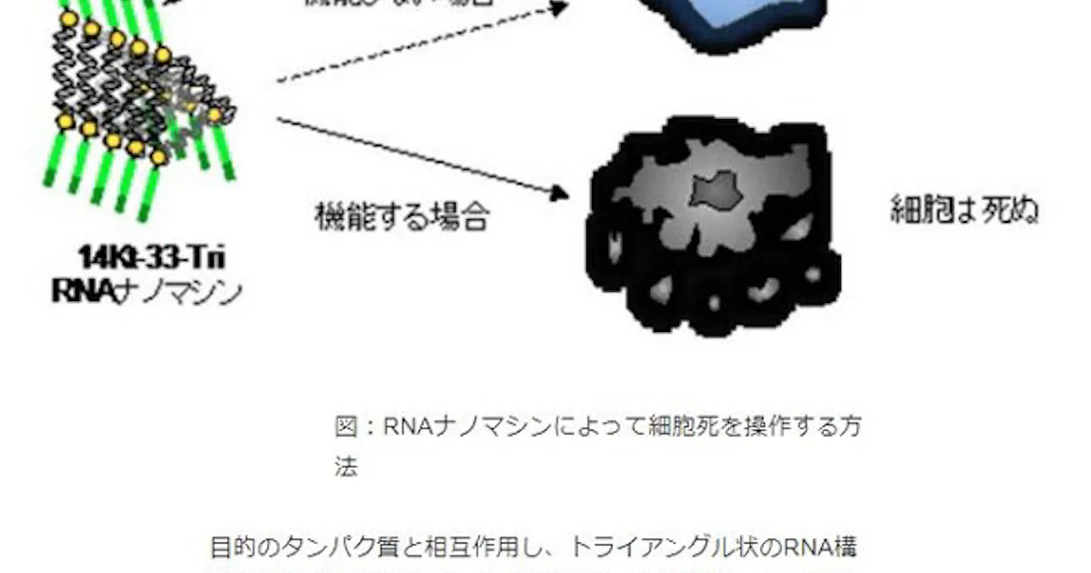 日本経済新聞