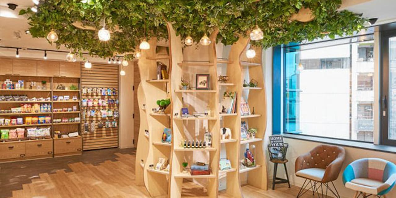 清潔広々 防音個室 女子向け変身マンガ喫茶が超快適 Nikkei Style 清潔広々 防音個室 女子向け変身マンガ喫茶が超快適 Nikkei Style