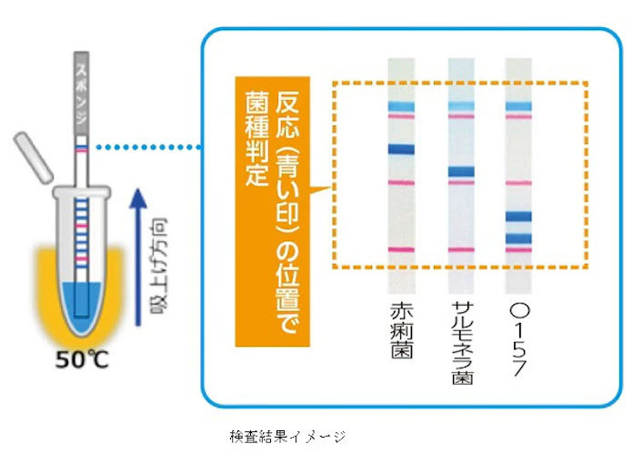 日本経済新聞