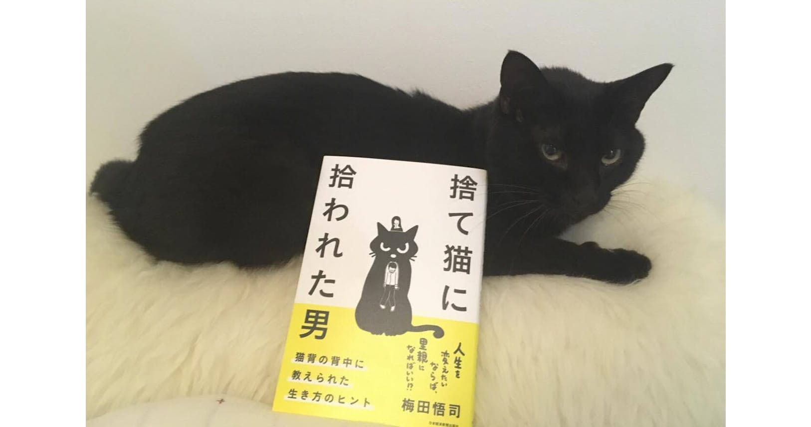 猫と暮らして発見 思った通りに生きる 心構え梅田悟司著 捨て猫に拾われた男 猫背の背中に教えられた生き方のヒント