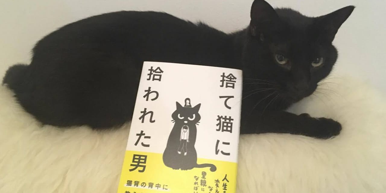 猫と暮らして発見 思った通りに生きる 心構え ブック Nikkei Style