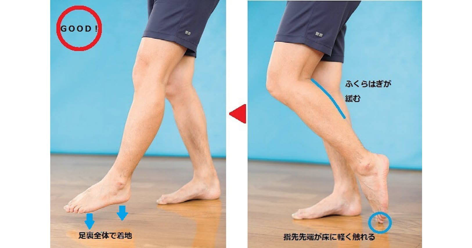 腰痛 膝痛持ちでも痛くない 疲れない歩き方の極意 Nikkei Style 腰痛 膝痛持ちでも痛くない 疲れない歩き方の極意 Nikkei Style