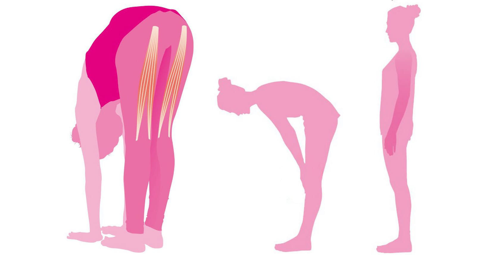 ペターッと前屈で若返る レベル別 硬いもも裏を解消 Nikkei Style ペターッと前屈で若返る レベル別 硬いもも裏を解消 Nikkei Style