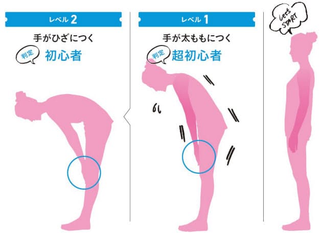 ペターッと前屈で若返る レベル別 硬いもも裏を解消 Nikkei Style ペターッと前屈で若返る レベル別 硬いもも裏を解消 Nikkei Style
