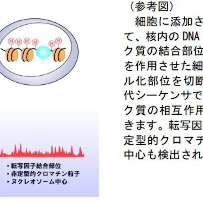 日本経済新聞