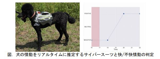 東北大など 災害救助犬の活性度 情動 を遠隔モニタリングする技術を開発 日本経済新聞