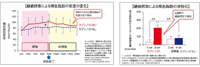 味の素 カプシex 機能性表示食品 を発売 日本経済新聞