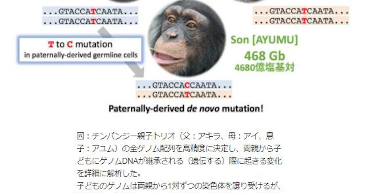 日本経済新聞