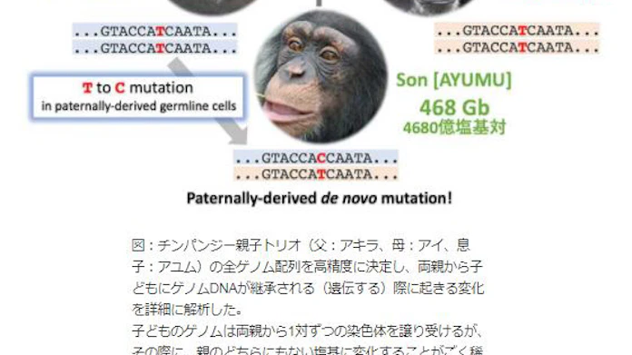 日本経済新聞
