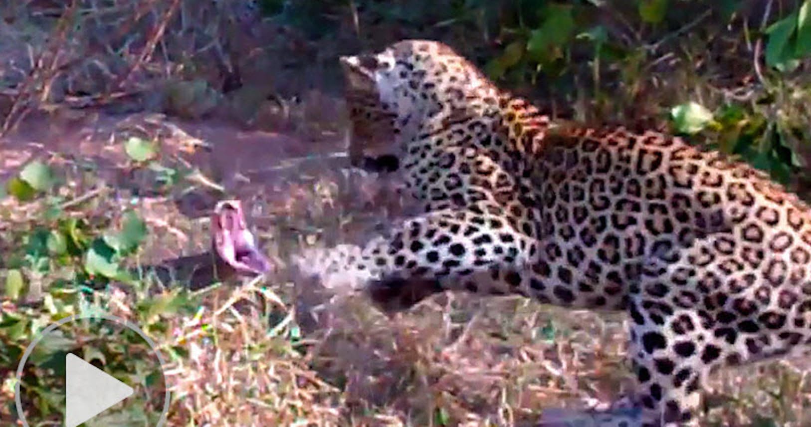 Qhhxi9ggcjnrtm Qhhxi9ggcjnrtm