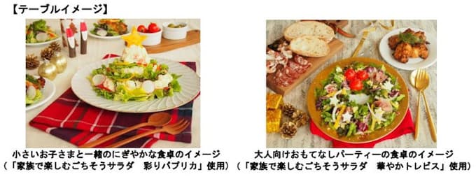 サラダクラブ 家族で楽しむごちそうサラダ 彩りパプリカ 華やかトレビス を期間限定発売 日本経済新聞