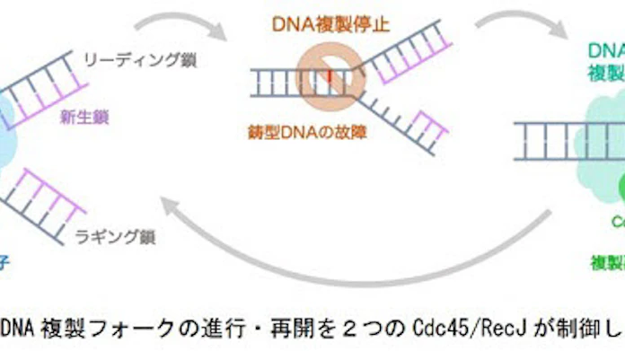 日本経済新聞