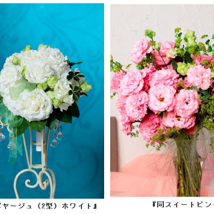 サカタのタネ トルコギキョウ ボン ボヤージュ に2品種を追加し発売 日本経済新聞 サカタのタネ トルコギキョウ ボン ボヤージュ に2品種を追加し発売 日本経済新聞