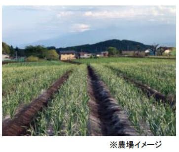 Jtbコーポレートセールス 農業itベンチャーと協業し地方の耕作放棄地 遊休農地の企業向けレンタル事業を開始 日本経済新聞