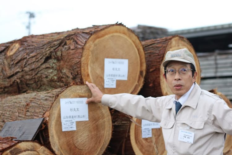 花粉症のスギ が善玉に 木材博士の ものづくり大賞 受賞した家具作り Nikkeiリスキリング 花粉症のスギ が善玉に 木材博士の ものづくり大賞 受賞した家具作り Nikkeiリスキリング