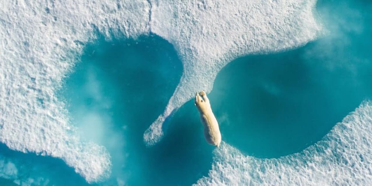 空から見た 北極圏の絶景と動物たち 写真10点 Nikkei Style 空から見た 北極圏の絶景と動物たち 写真10点 Nikkei Style